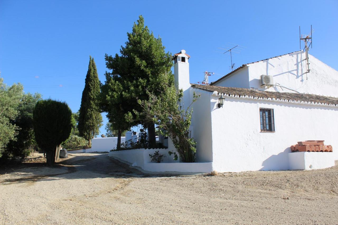 Casa Rural Faltriquera Setenil Setenil De Las Bodegas Buitenkant foto