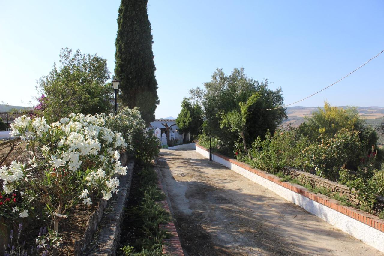Casa Rural Faltriquera Setenil Setenil De Las Bodegas Buitenkant foto