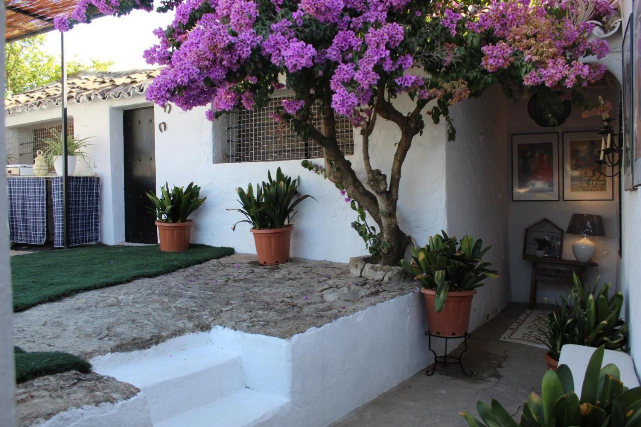 Casa Rural Faltriquera Setenil Setenil De Las Bodegas Buitenkant foto